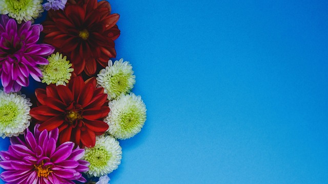 与汗水书写 与汗水书写