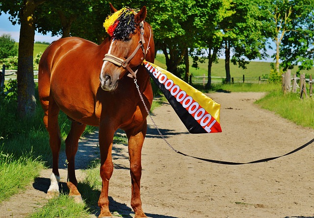 “一切都對我們不利！”——滕哈格怒斥裁判一系列錯誤判罰！.