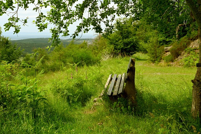 他的季後賽 他的季後賽