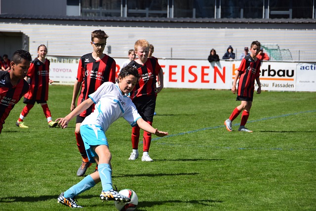 关键原因 关键原因