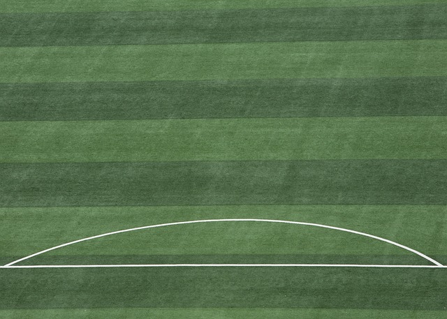 罗德里格斯 罗德里格斯