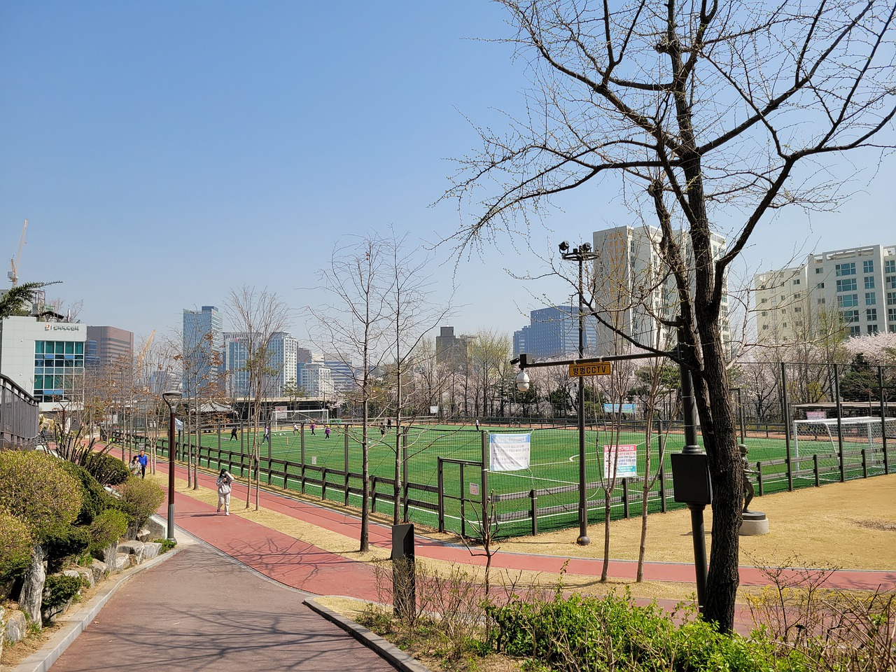 被视为主力 被视为主力